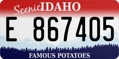ID license plate E867405