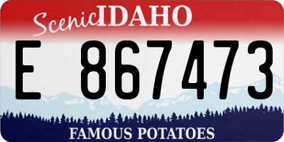 ID license plate E867473