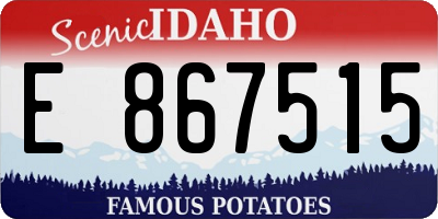 ID license plate E867515