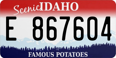 ID license plate E867604