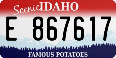 ID license plate E867617
