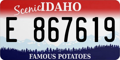 ID license plate E867619