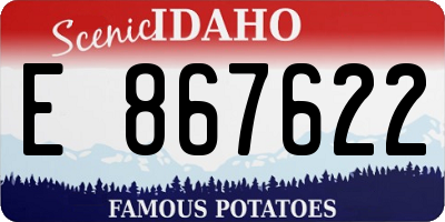 ID license plate E867622