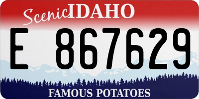 ID license plate E867629