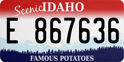 ID license plate E867636