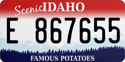 ID license plate E867655