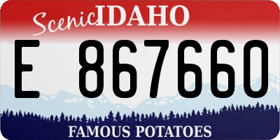 ID license plate E867660