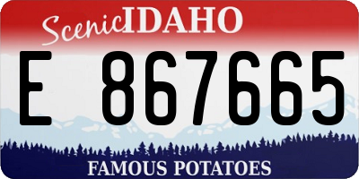 ID license plate E867665