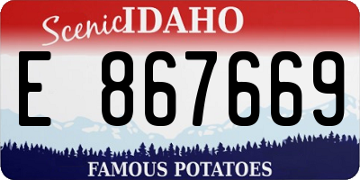ID license plate E867669