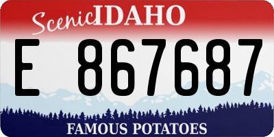ID license plate E867687