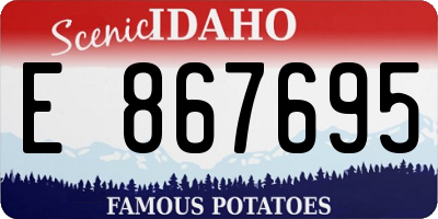 ID license plate E867695