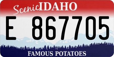 ID license plate E867705