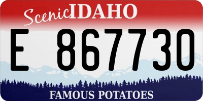 ID license plate E867730