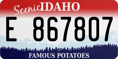 ID license plate E867807