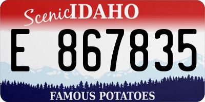 ID license plate E867835