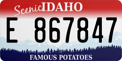 ID license plate E867847
