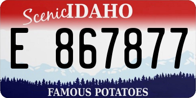 ID license plate E867877