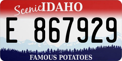 ID license plate E867929