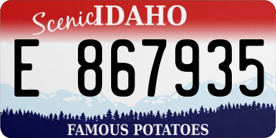 ID license plate E867935