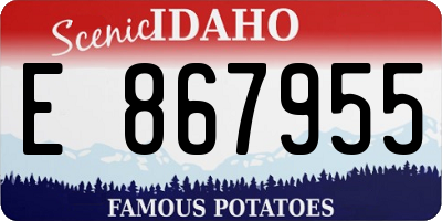 ID license plate E867955