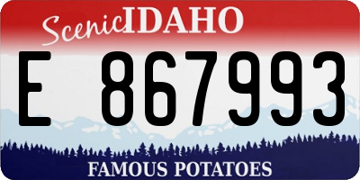 ID license plate E867993