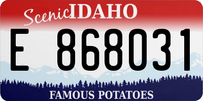 ID license plate E868031