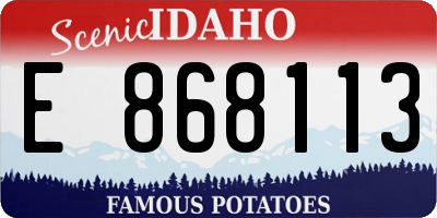 ID license plate E868113