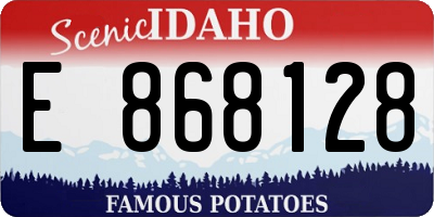 ID license plate E868128