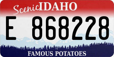 ID license plate E868228