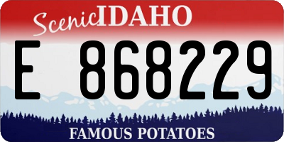 ID license plate E868229
