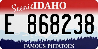 ID license plate E868238