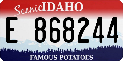 ID license plate E868244