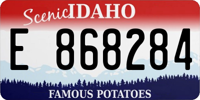 ID license plate E868284