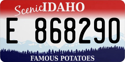 ID license plate E868290