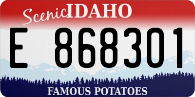 ID license plate E868301