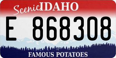 ID license plate E868308