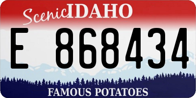 ID license plate E868434