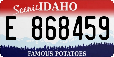ID license plate E868459