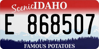 ID license plate E868507