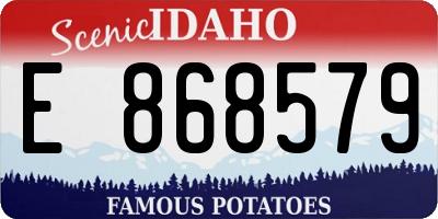 ID license plate E868579