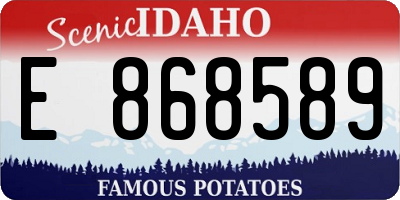 ID license plate E868589