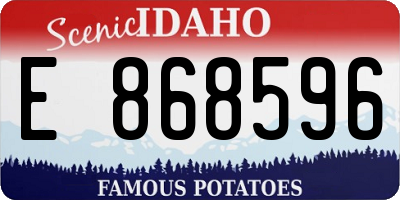 ID license plate E868596