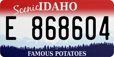 ID license plate E868604