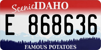 ID license plate E868636