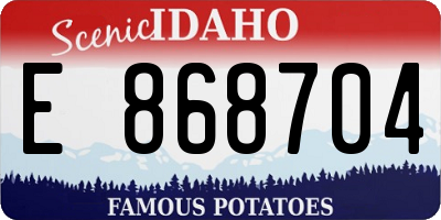 ID license plate E868704