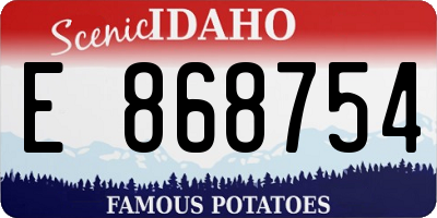 ID license plate E868754