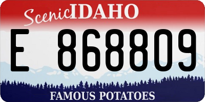 ID license plate E868809