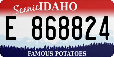 ID license plate E868824