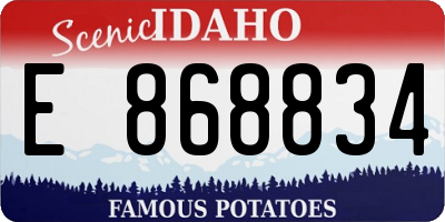 ID license plate E868834