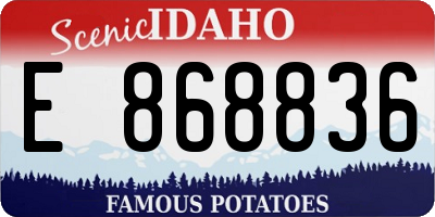 ID license plate E868836